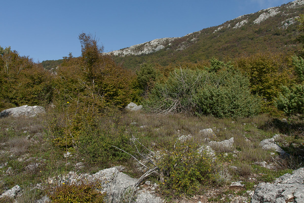 Кульяче и окрестности, image of landscape/habitat.