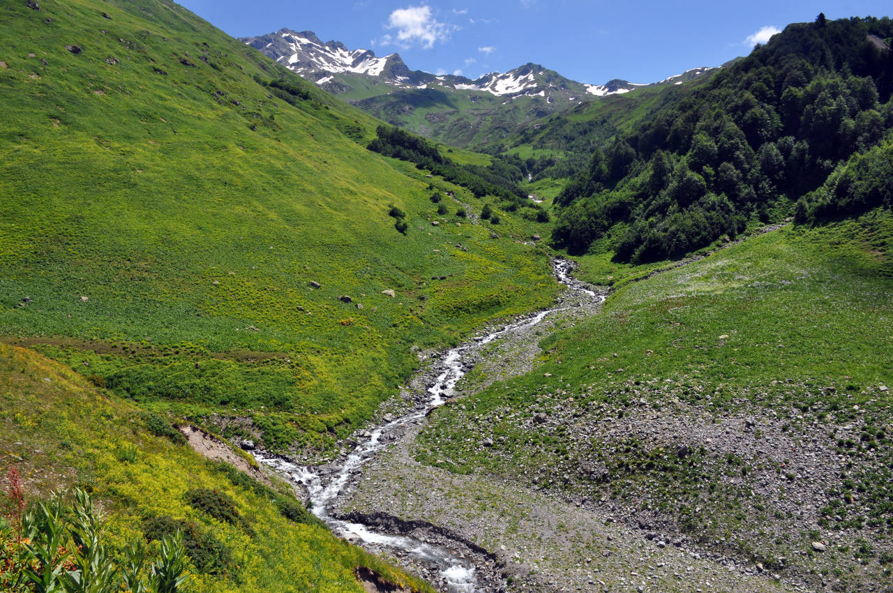 Долина реки Аджарра, image of landscape/habitat.