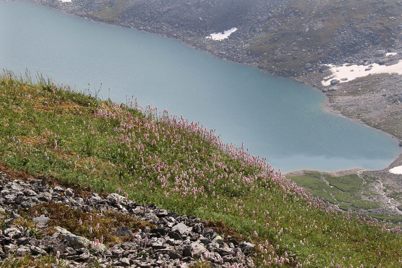 Алькесвож, image of landscape/habitat.