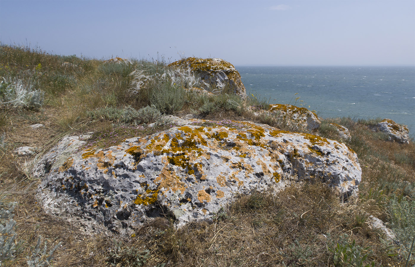 Казантип, image of landscape/habitat.