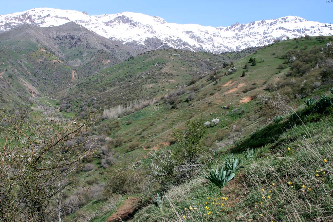 Хребет Каржантау, image of landscape/habitat.