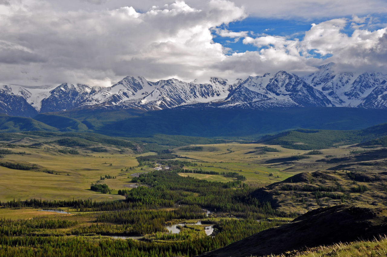 Окрестности села Курай, image of landscape/habitat.