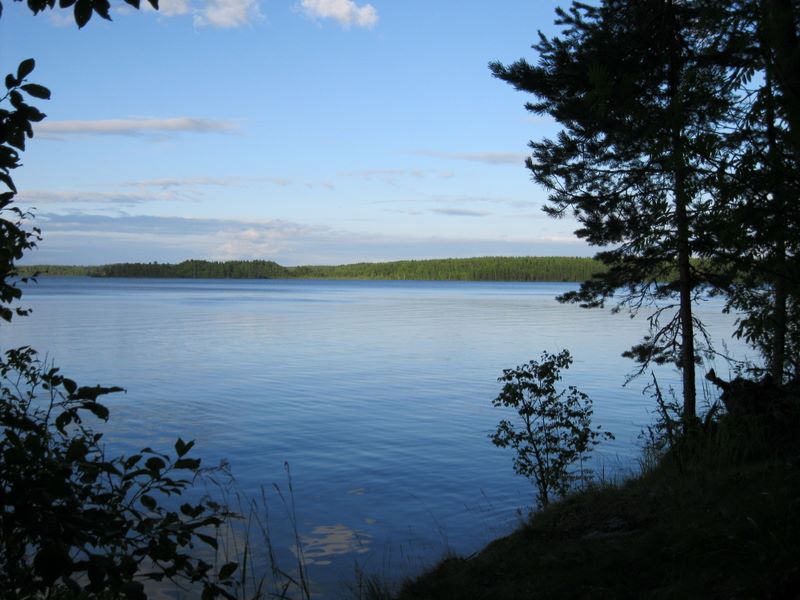 Урозеро, image of landscape/habitat.