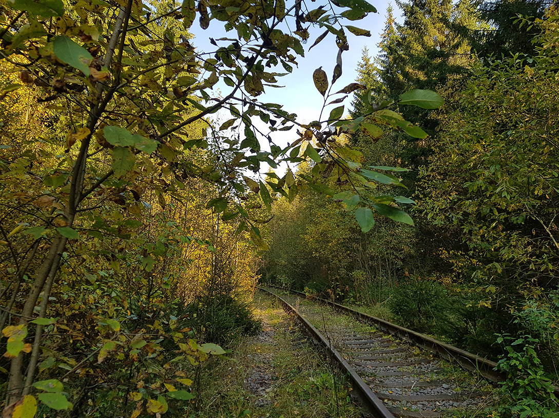 Дубна, image of landscape/habitat.