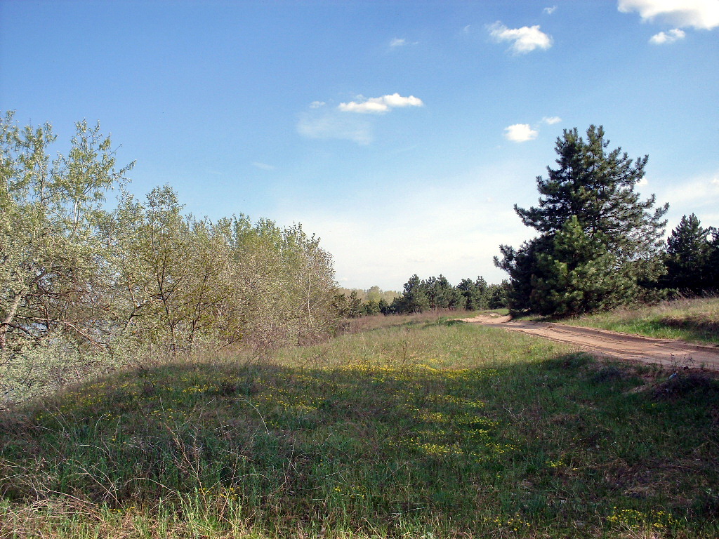 Заказник "Нижне-Кундрюченский", image of landscape/habitat.