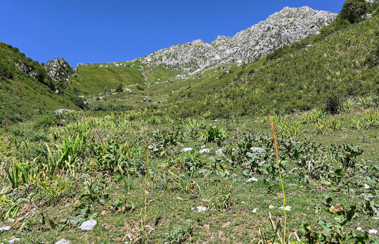Перевал Кутурма, изображение ландшафта.