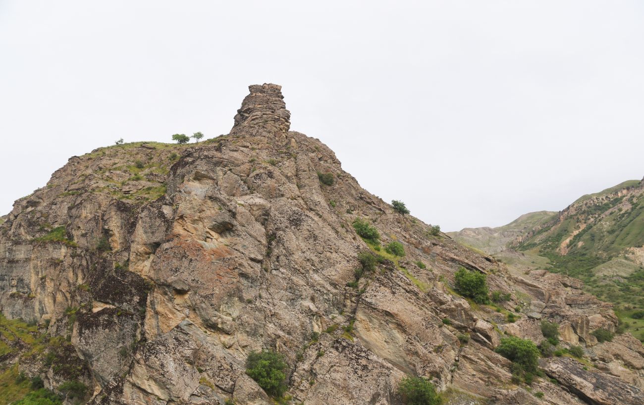 Устье реки Масура, image of landscape/habitat.