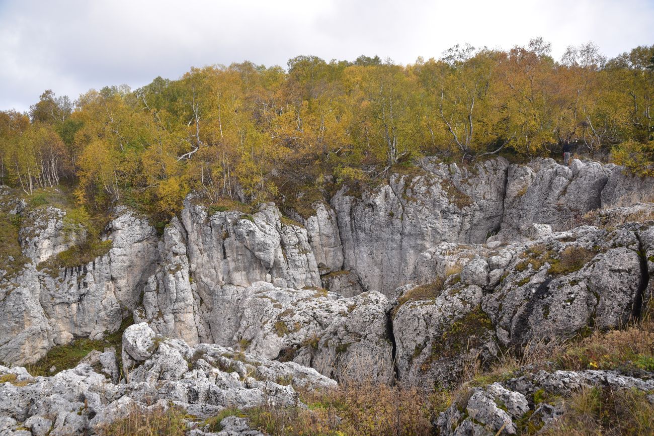 Окрестности ретранслятора, image of landscape/habitat.