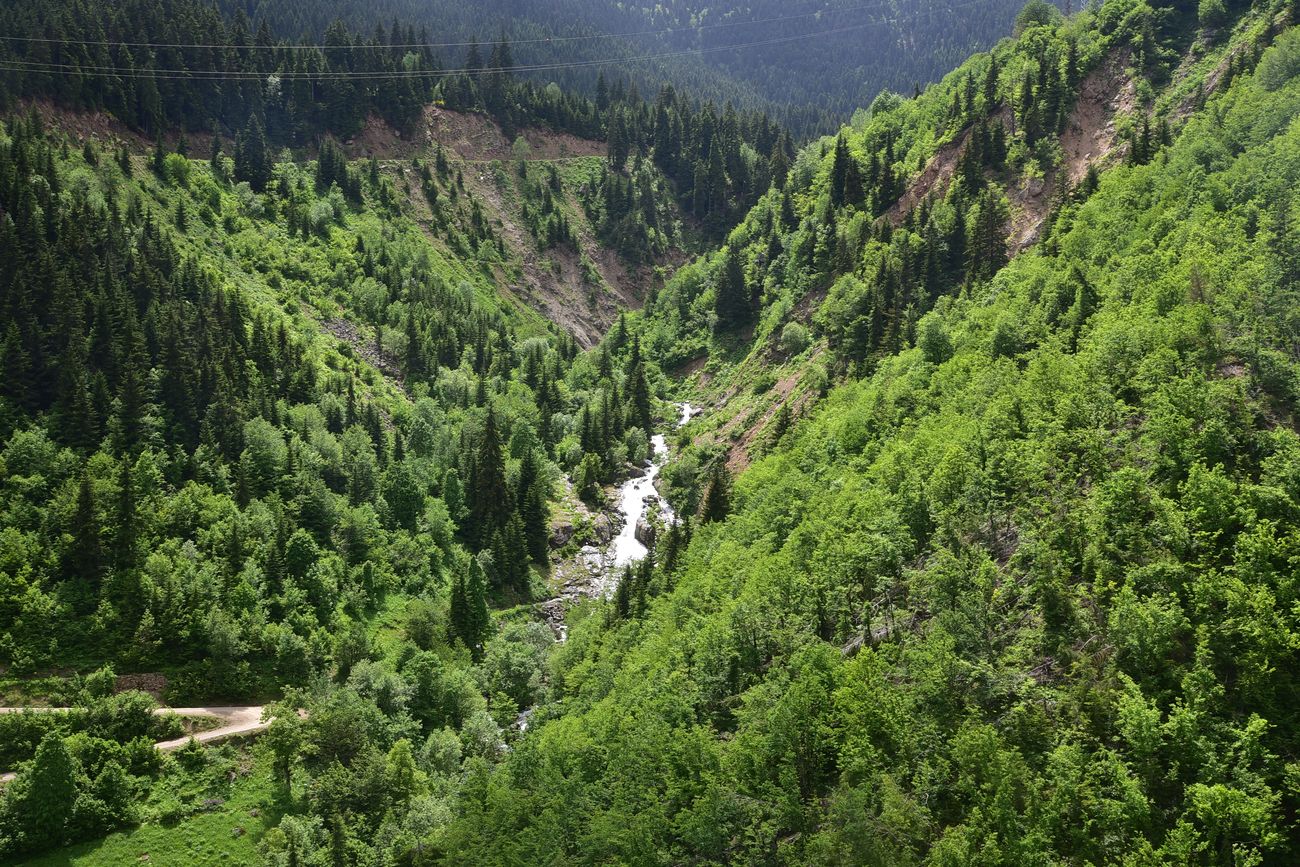 Окрестности монастыря Парехи, image of landscape/habitat.