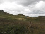 Image of landscape