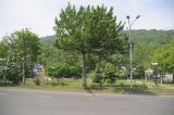 Петропавловск-Камчатский, image of landscape/habitat.