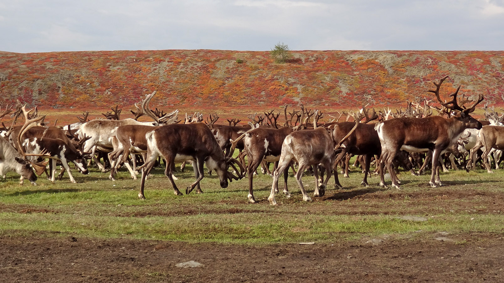 Долина реки Сахынья, image of landscape/habitat.