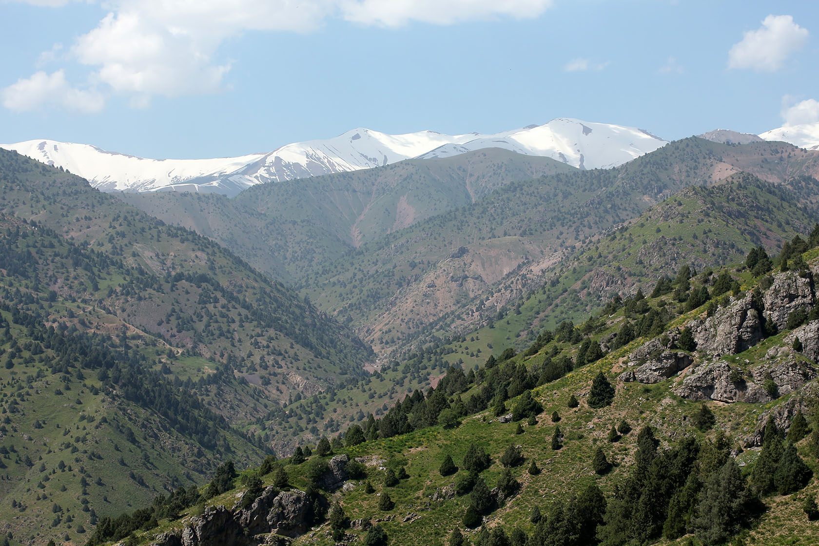 Окрестности города Янгиабад, image of landscape/habitat.