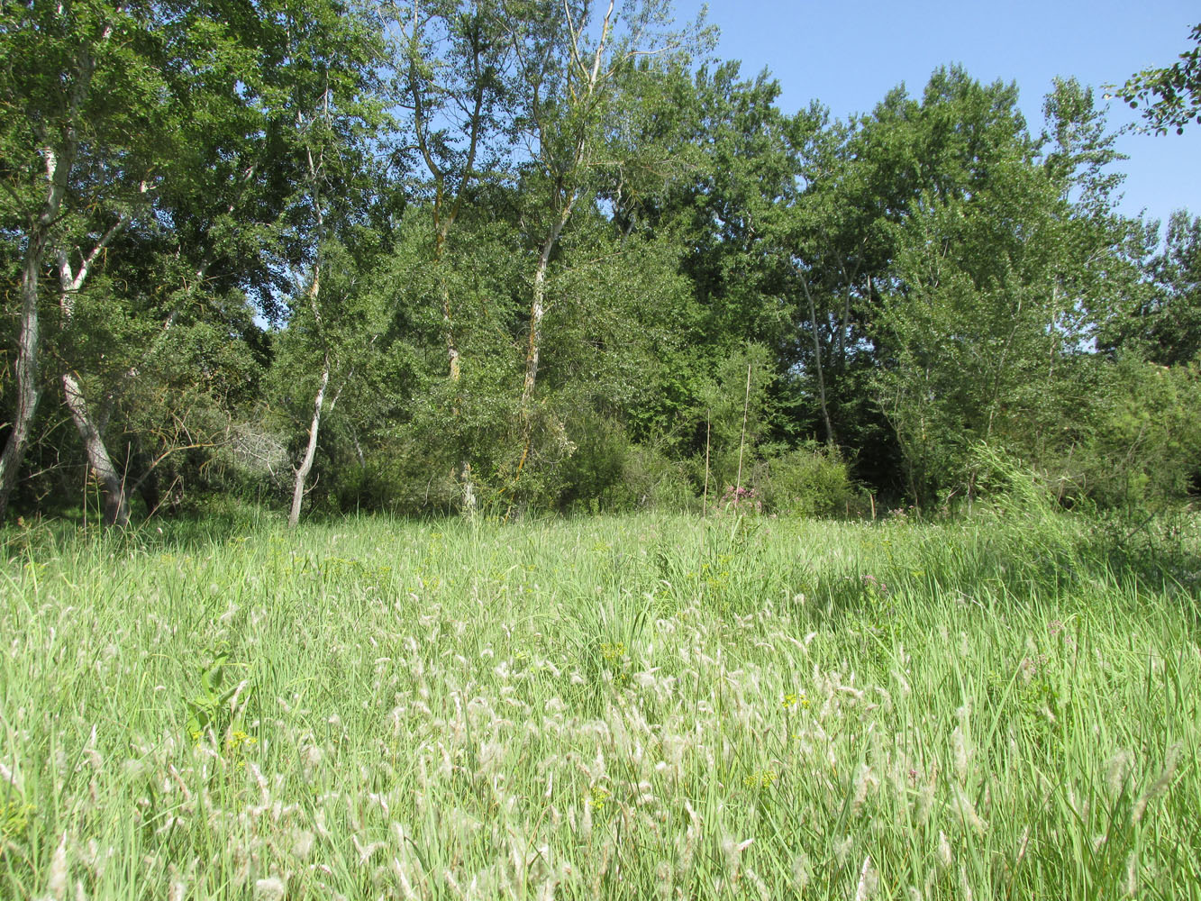Долина реки Рубас, image of landscape/habitat.