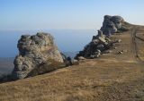Image of landscape
