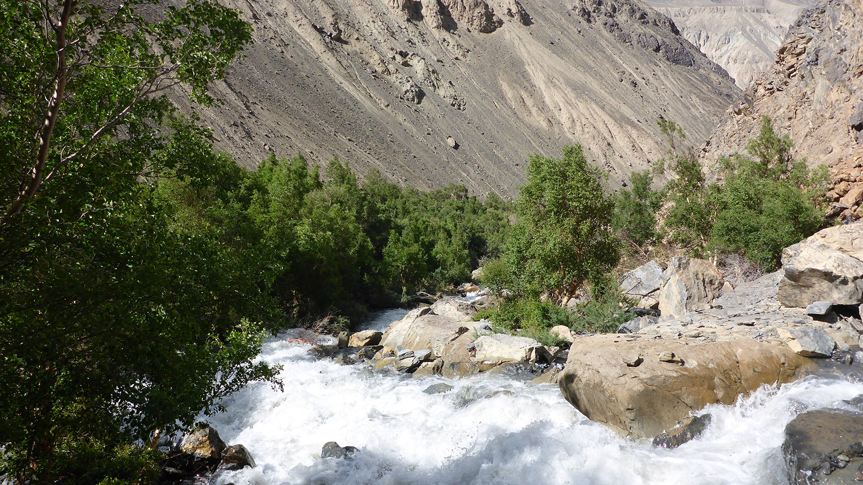 Берёзовая, image of landscape/habitat.