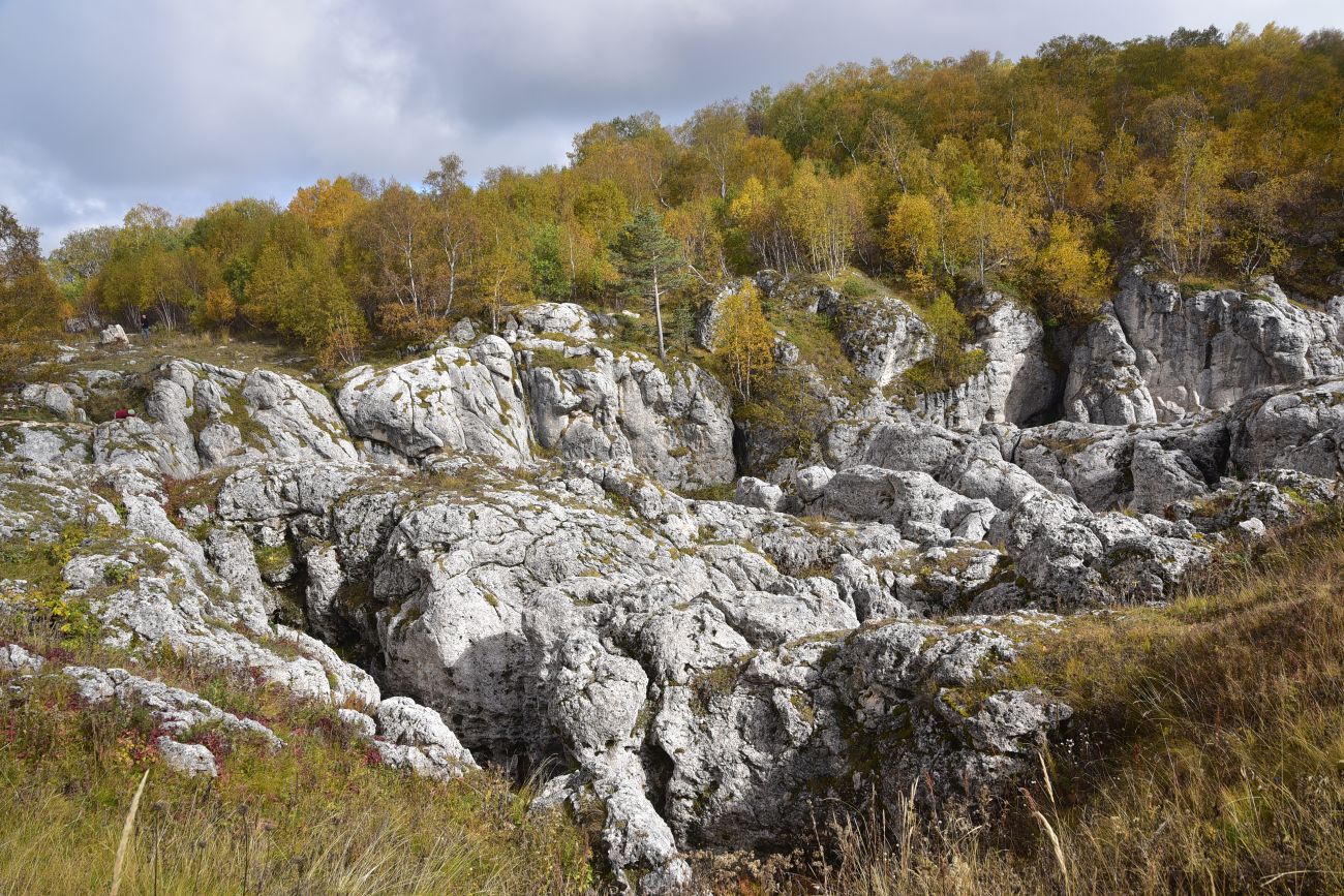 Окрестности ретранслятора, image of landscape/habitat.