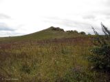 Image of landscape