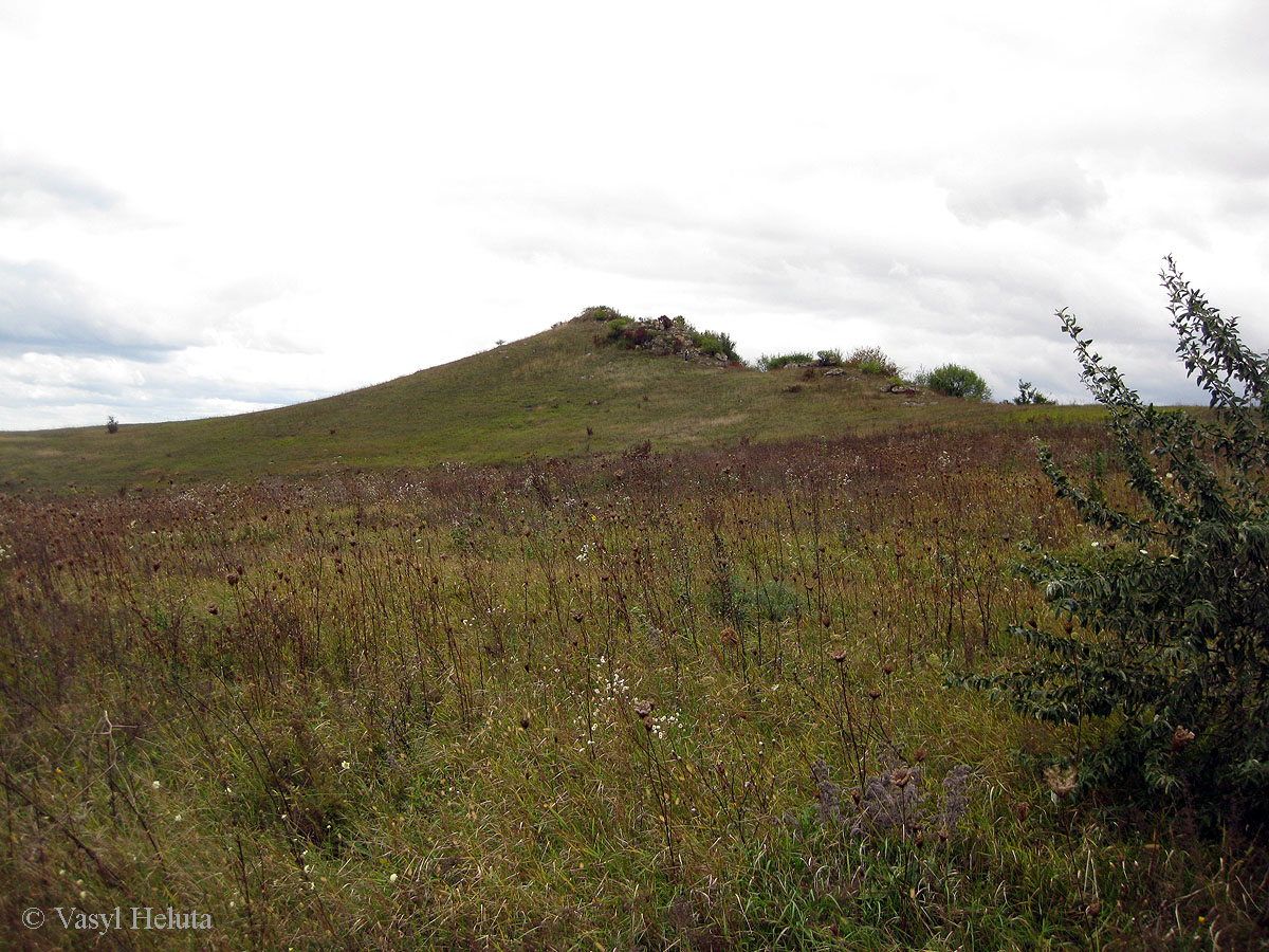 Четыре кавалера, image of landscape/habitat.