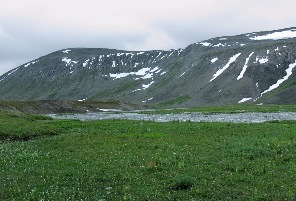 Верховья Большой Усы, image of landscape/habitat.
