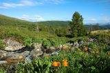 Окрестности озера Акташ, image of landscape/habitat.