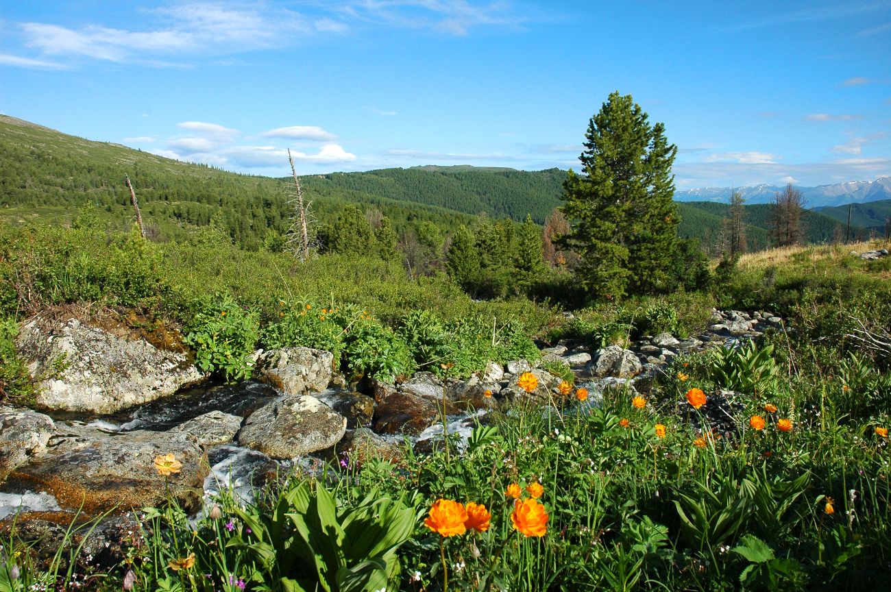Окрестности озера Акташ, image of landscape/habitat.