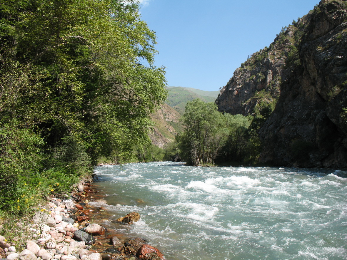 Ущелье реки Чичкан, image of landscape/habitat.