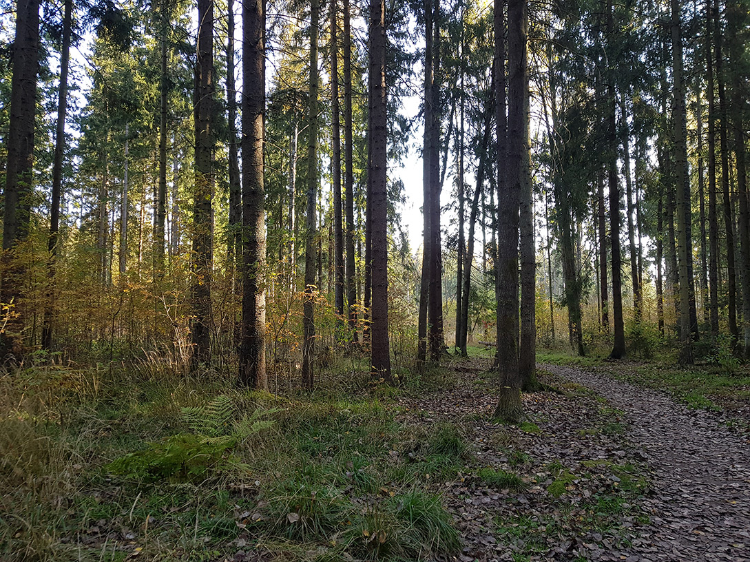 Дубна, image of landscape/habitat.