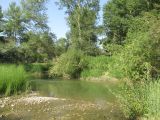 Image of landscape