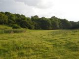 Image of landscape