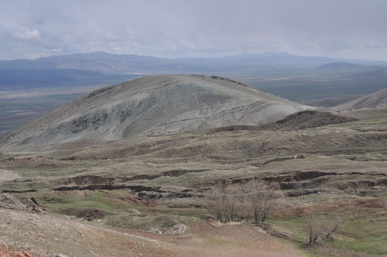 Узеньгили, image of landscape/habitat.