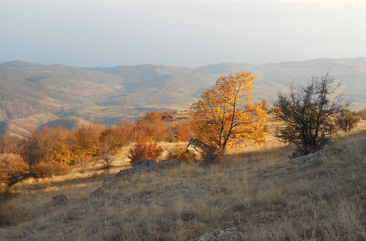 Южная Демерджи, image of landscape/habitat.