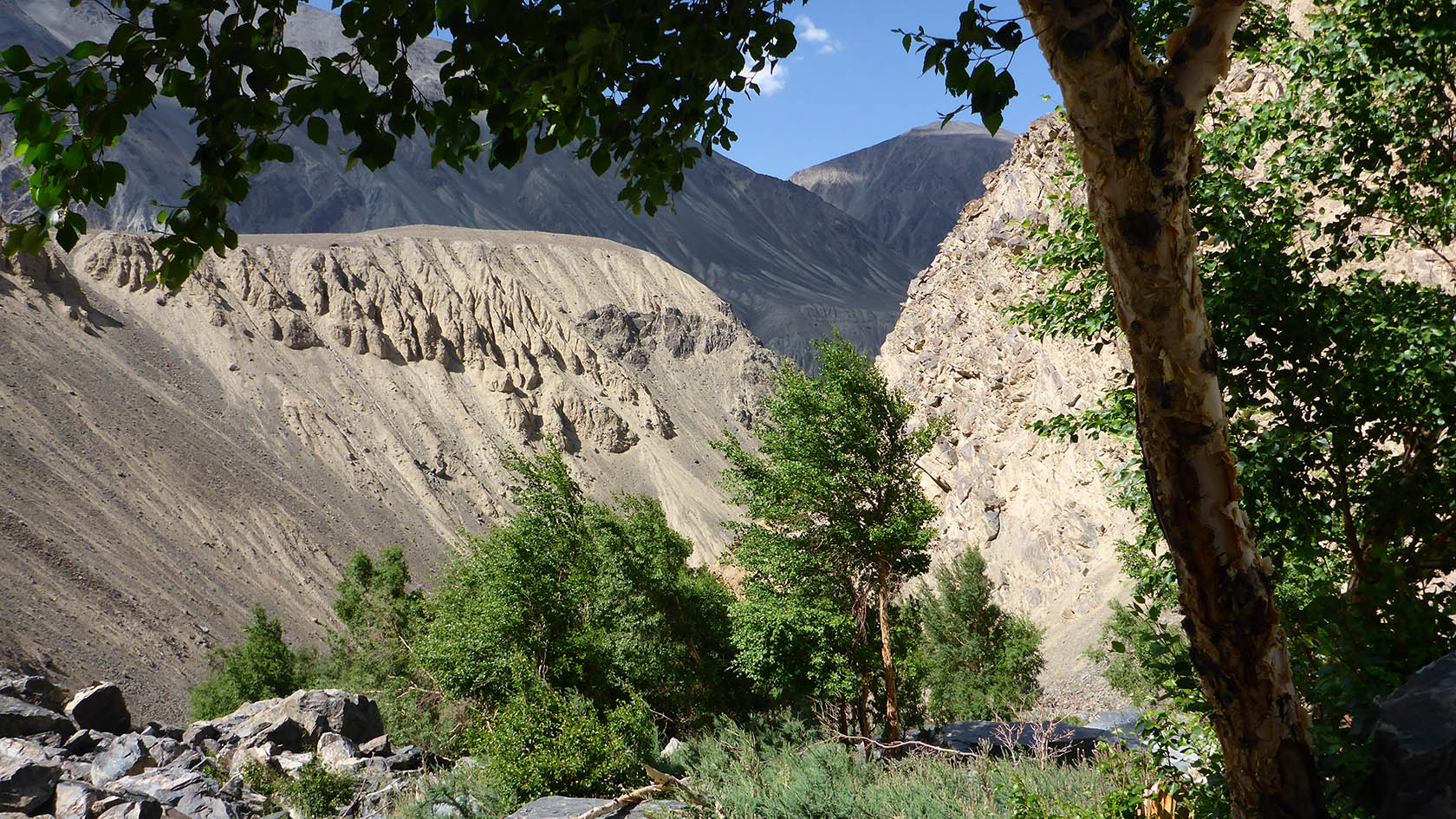 Берёзовая, image of landscape/habitat.