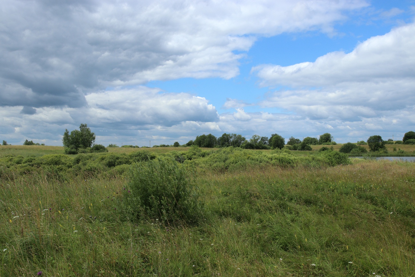 Местечко и окрестности, image of landscape/habitat.