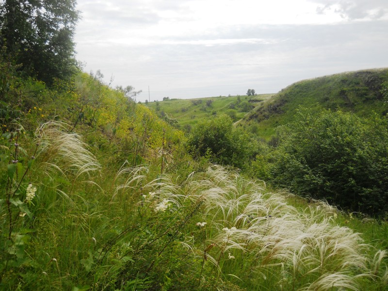 Долина реки Шипунихи, image of landscape/habitat.