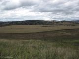 Image of landscape