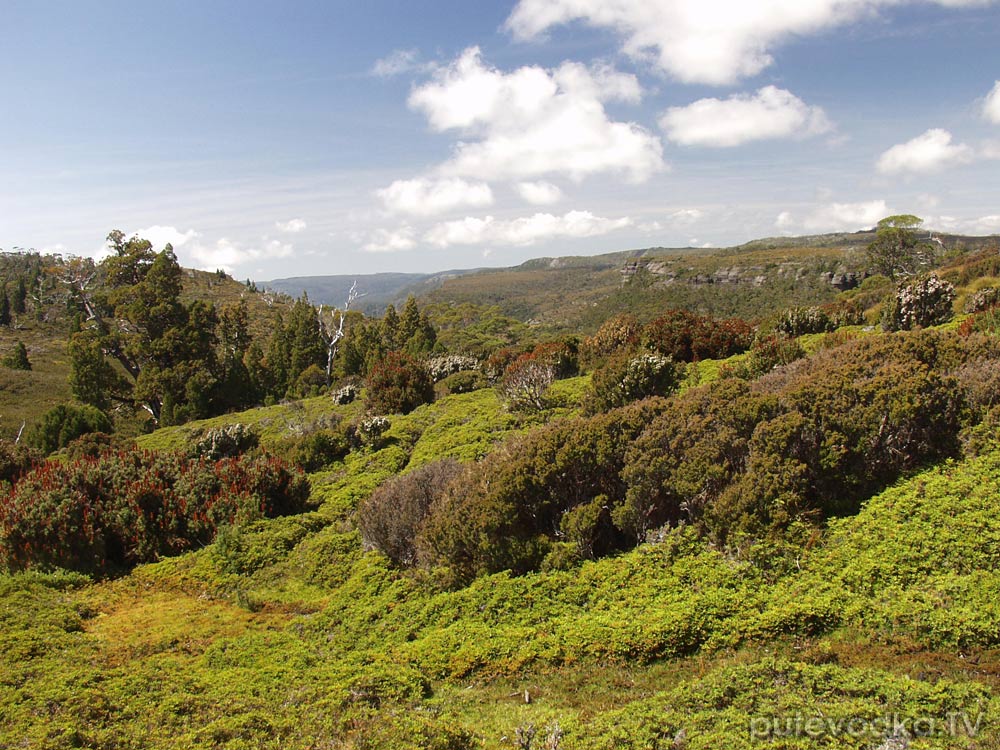 Крэдл Маунтин, image of landscape/habitat.