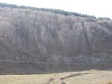 Image of landscape