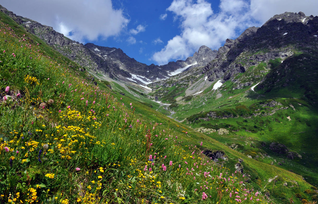 Долина реки Аджарра, image of landscape/habitat.