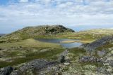 Столбовое озеро, image of landscape/habitat.