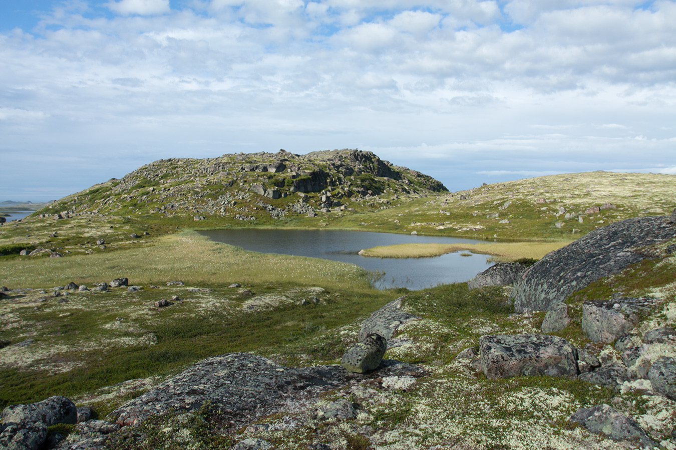 Столбовое озеро, изображение ландшафта.