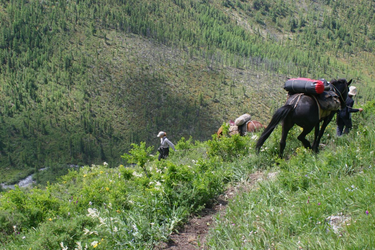 Ущелье реки Текелю, image of landscape/habitat.