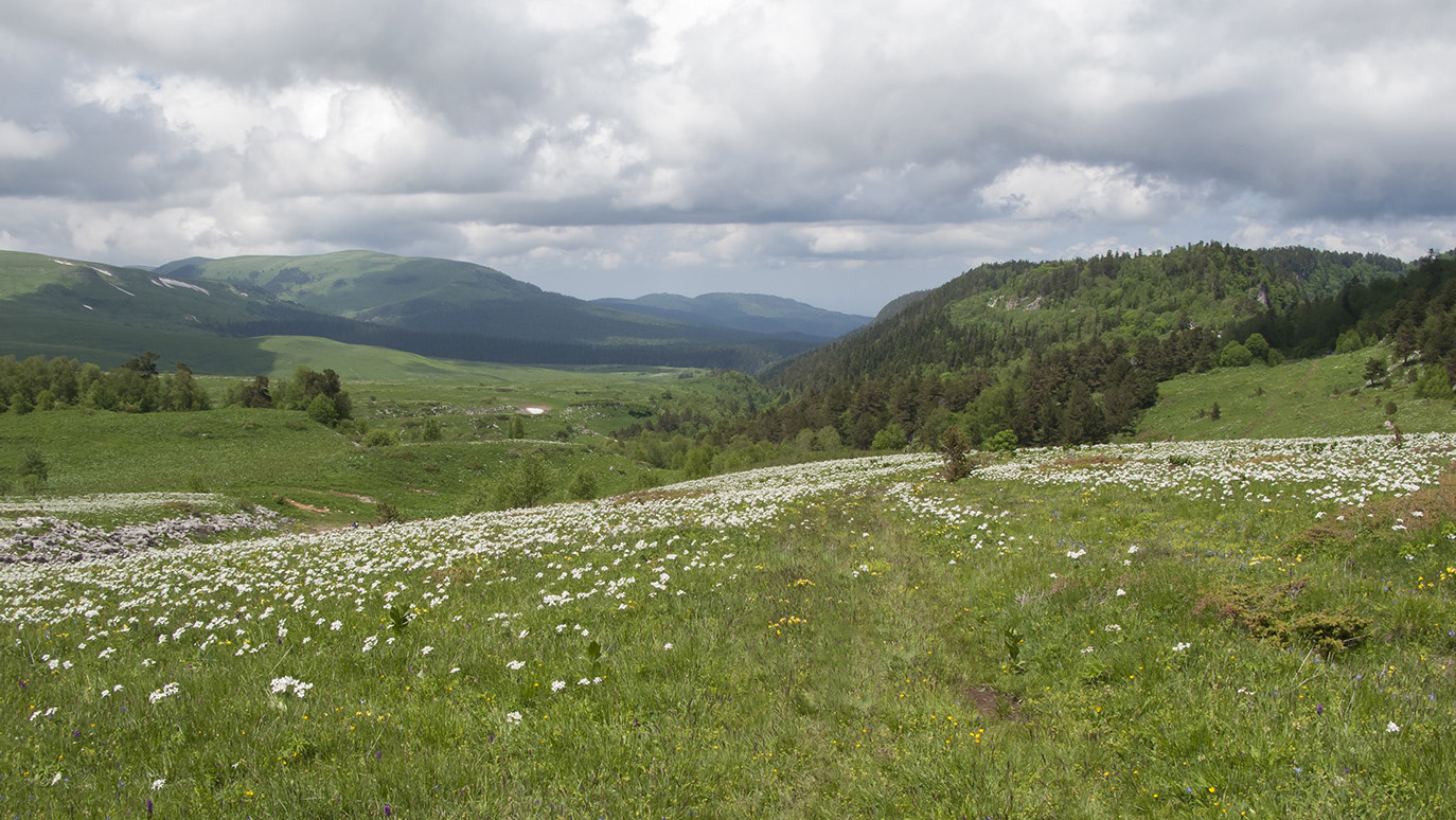 Окрестности Азишского перевала, image of landscape/habitat.