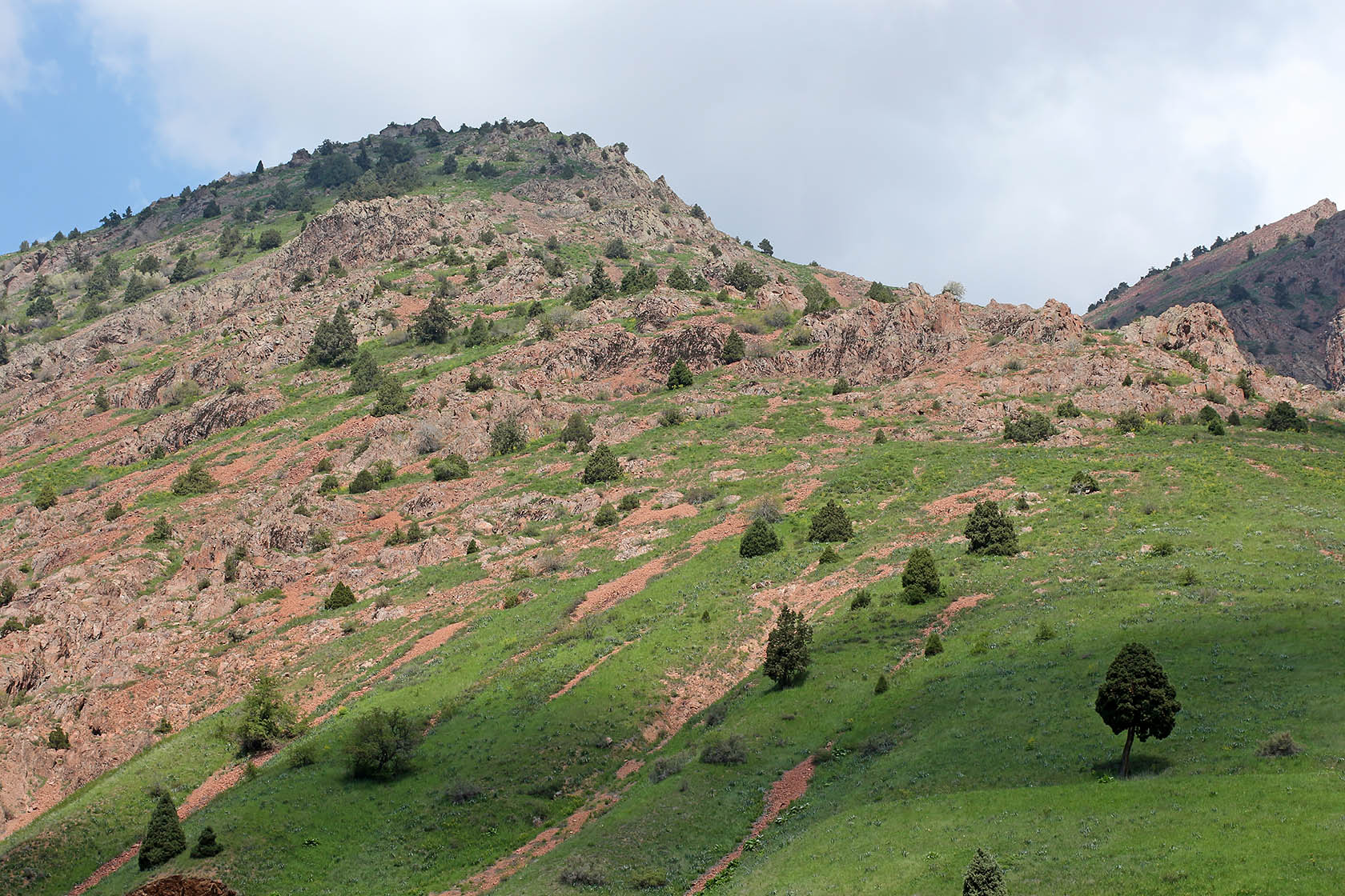 Окрестности города Янгиабад, image of landscape/habitat.