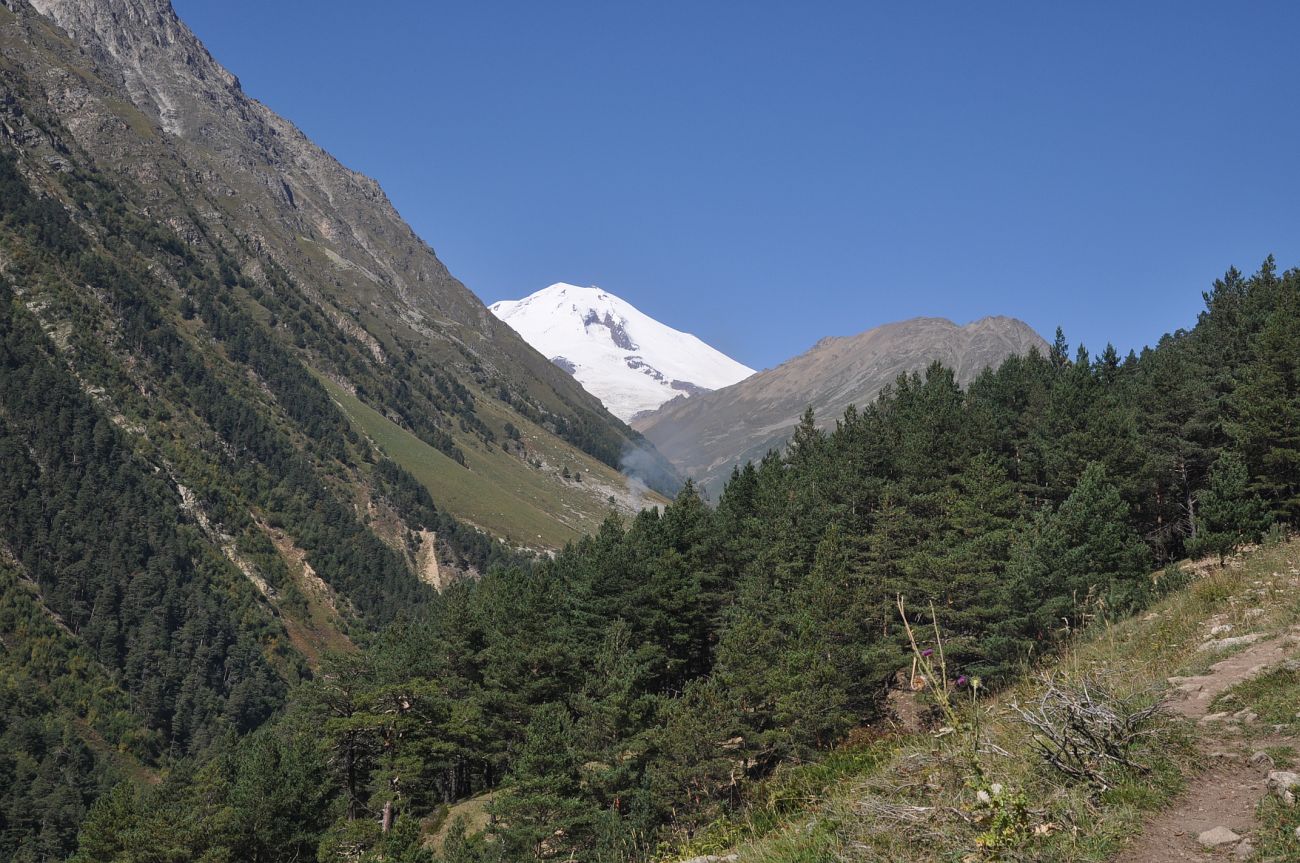 Долина реки Ирик, image of landscape/habitat.