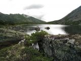 Хребет Дуссе-Алинь, image of landscape/habitat.