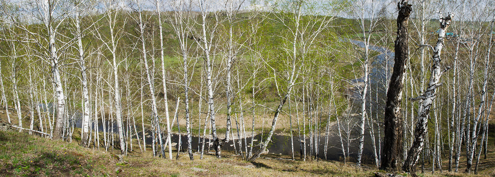 Окрестности Юлдыбаево, image of landscape/habitat.