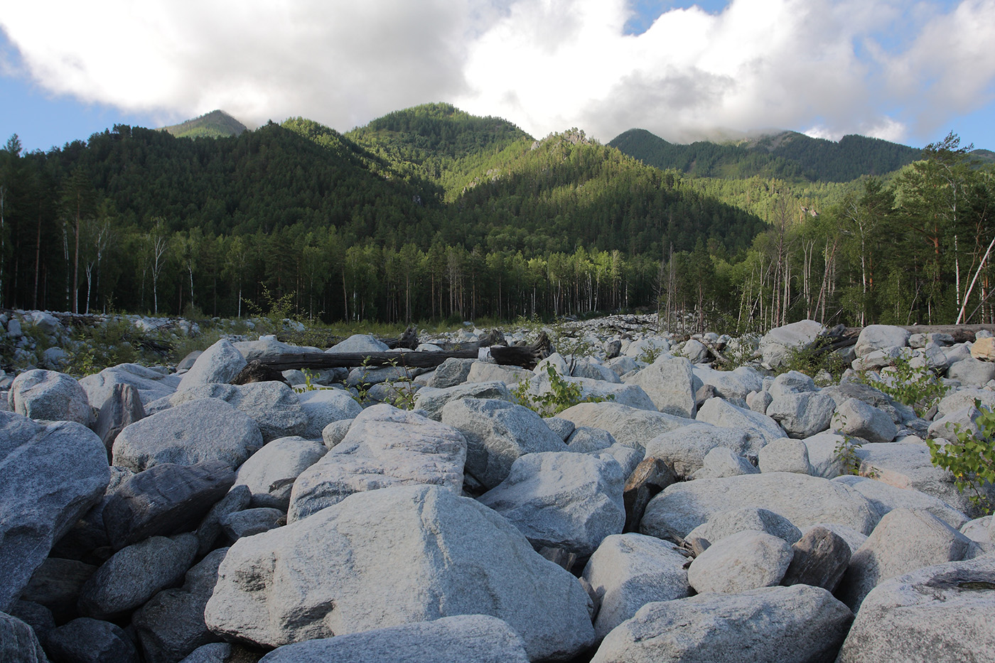 Аршан, image of landscape/habitat.