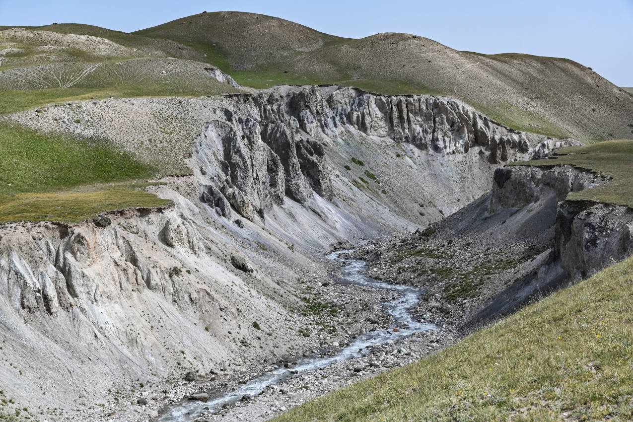 Долина реки Ачик-Таш, image of landscape/habitat.