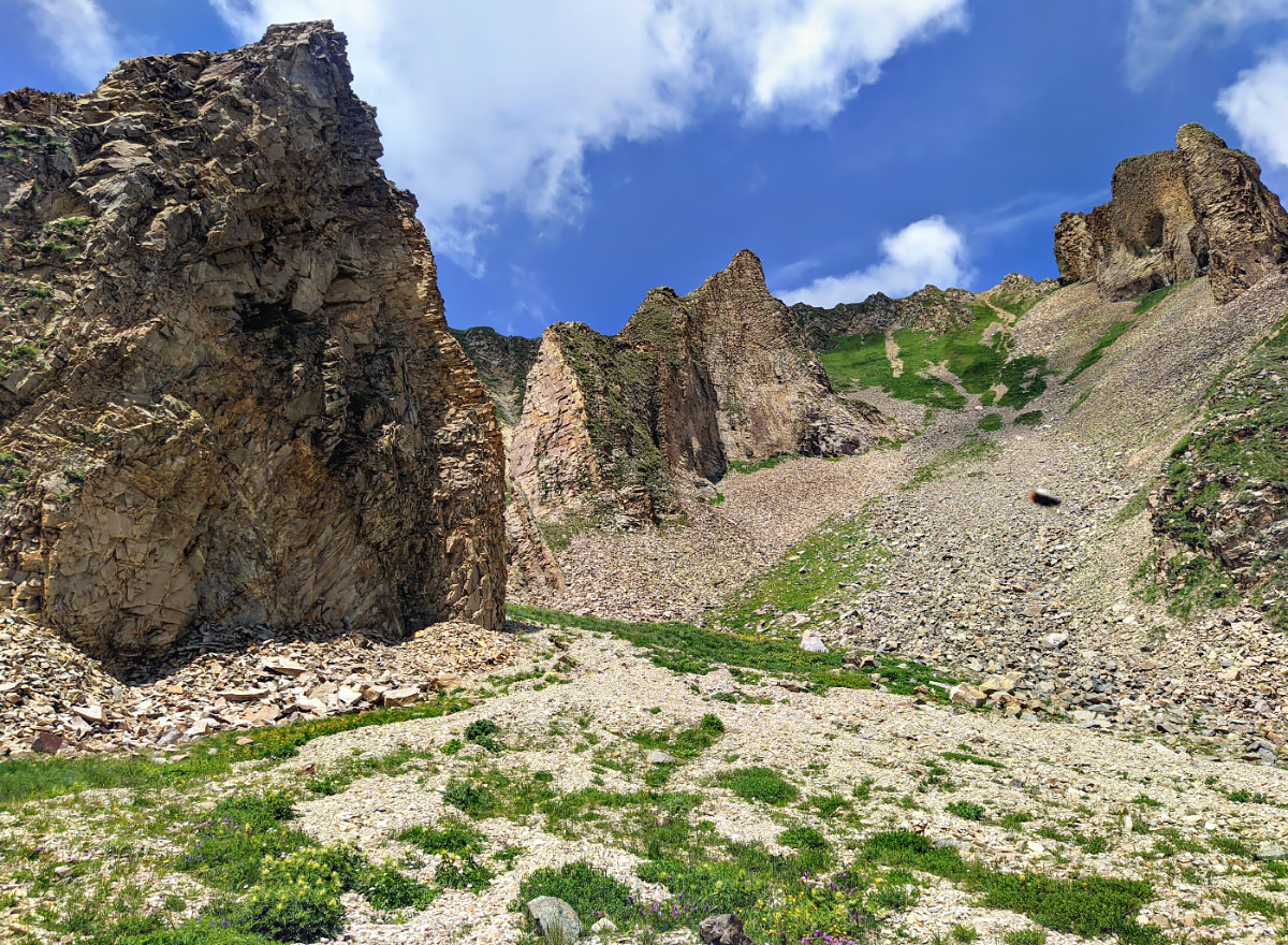 Долина реки Бартуидон, image of landscape/habitat.